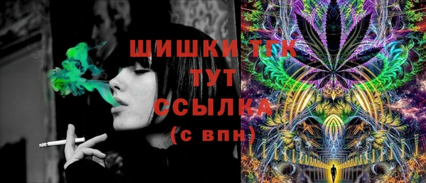 гашик Алзамай